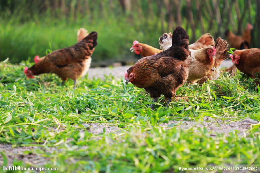 近期晝夜溫差較大，慢性呼吸道又開始猖獗了！